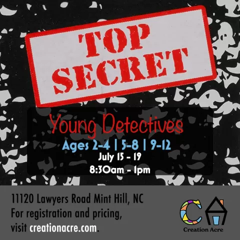 Young-Detectives