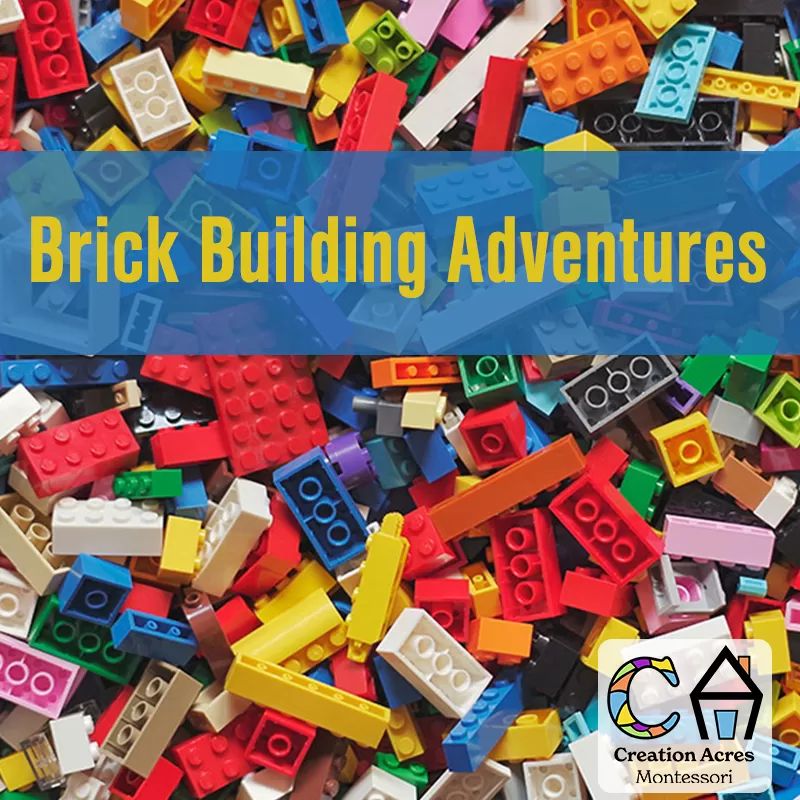 Bricks