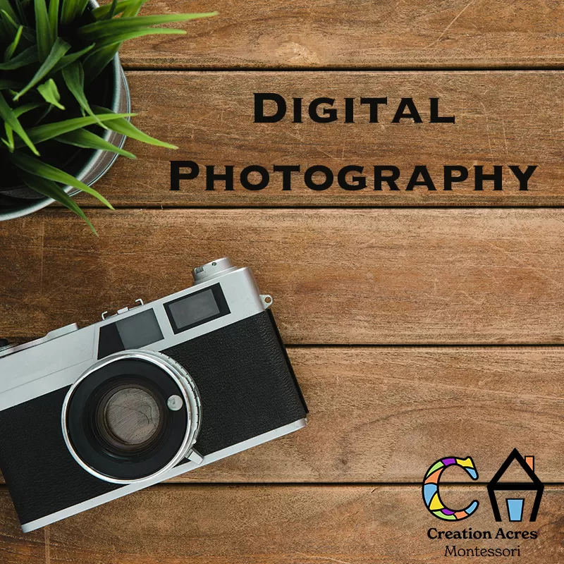 Photography