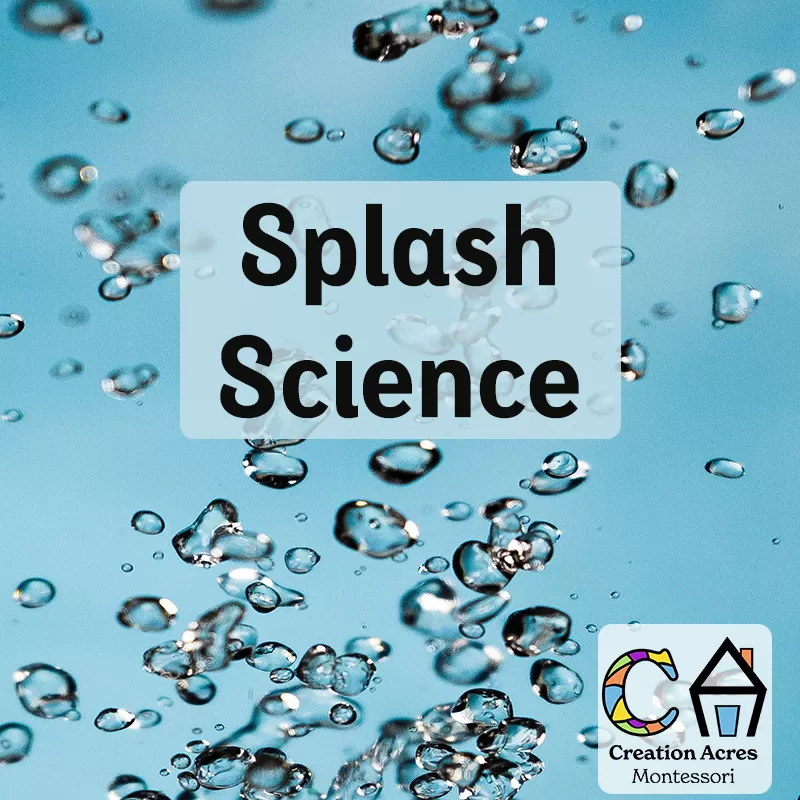 Splash